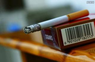 富贵花开烟代理2025年搜罗，带您总结富贵花开代理好